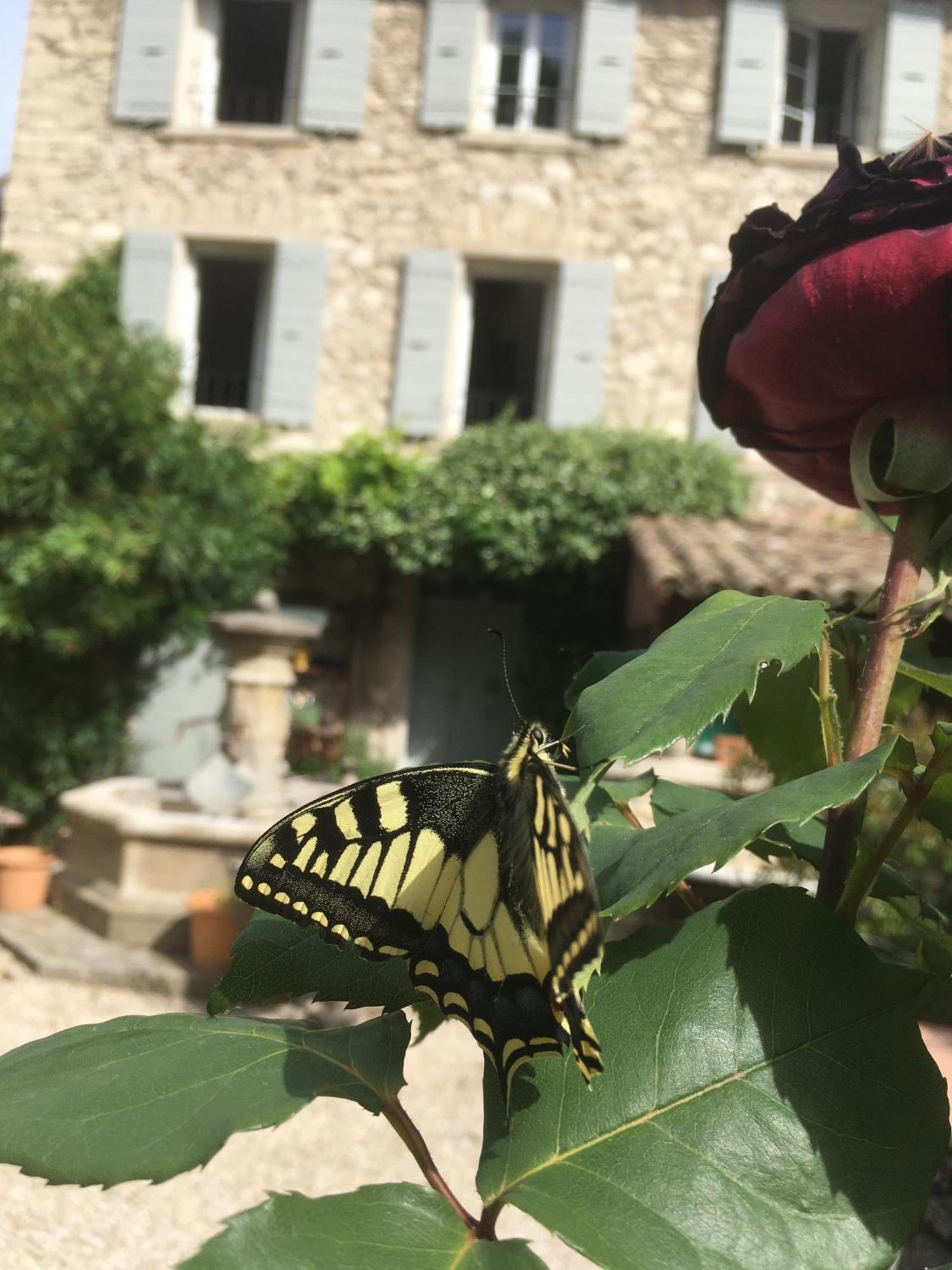 La Figuiere Fontaine De Vaucluse Bed & Breakfast Екстериор снимка